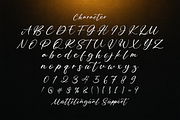 Bitley Anthem - Handwritten Font, a Script Font by StringLabs (Thumbnail 9 of 10)