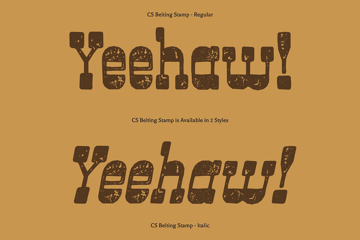 CS Belting Stamp, a Slab Serif Font by Craft Supply Co. (Photo 3 of 8)