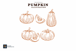 Hand Drawn Pumpkin Illustration Set