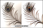 LAB Color Vol. 1 - Inverted Blend, a Plug-in Add-On by Raztrend (Thumbnail 12 of 30)