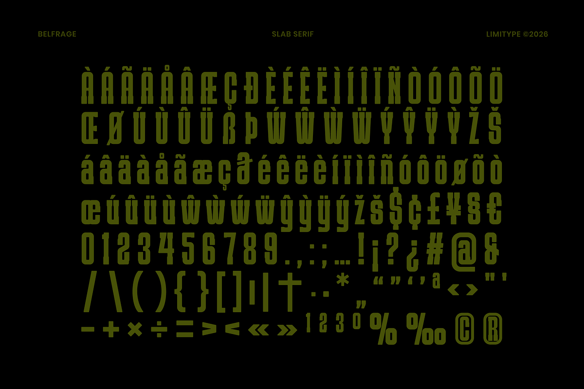 Belfrage - Slab Serif Font, a Slab Serif Font by limitype (Photo 9 of 10)