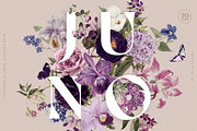 BUNDLE Watercolor Floral Graphic, a Decorative Illustration by Veris Studio (Thumbnail 7 of 43)
