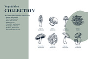 The Vegetables Collection, a Food Illustration by dicreate (Thumbnail 5 of 14)