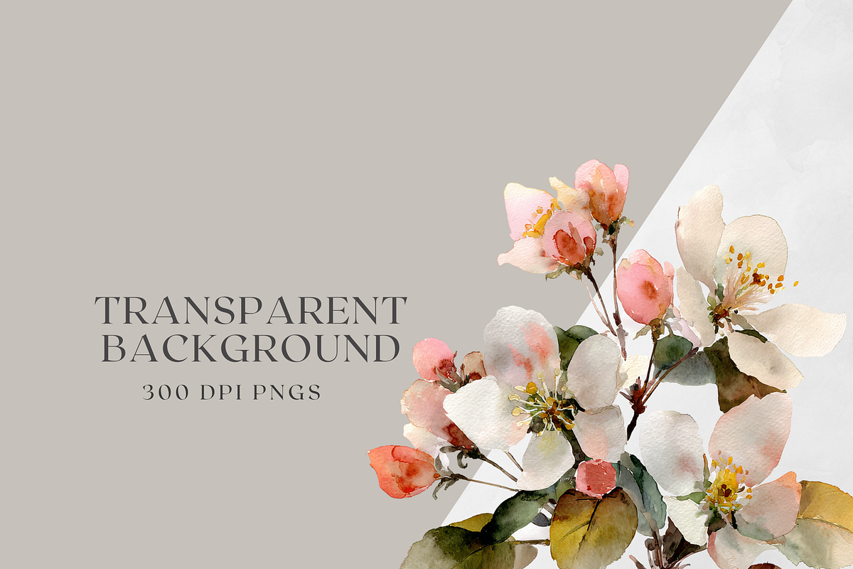 Watercolor Apple Blossom Bouquet, a Decorative Illustration by ThaismotaCreativeCo (Photo 11 of 11)