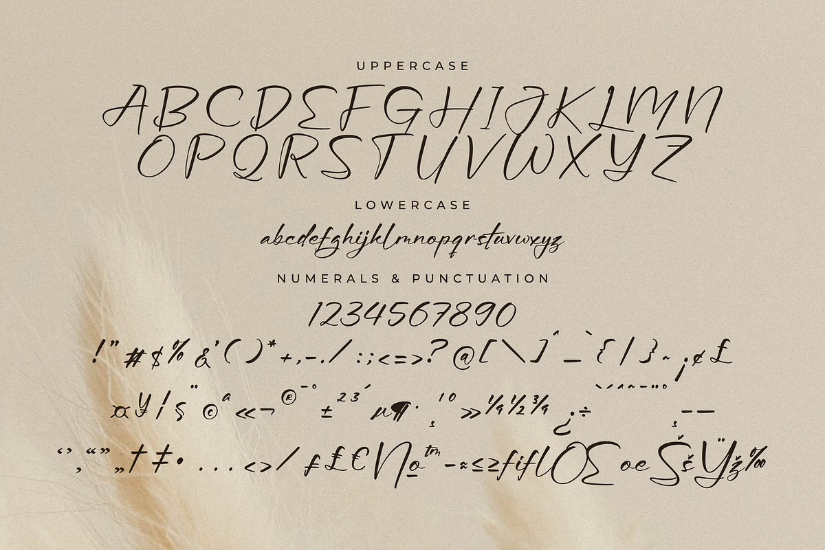 Aurora Magnollia Font Duo, a Serif Font by Storytype Studio (Photo 13 of 15)