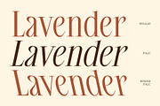CS Korima – Elegant Font, a Serif Font by Craft Supply Co. (Thumbnail 3 of 8)