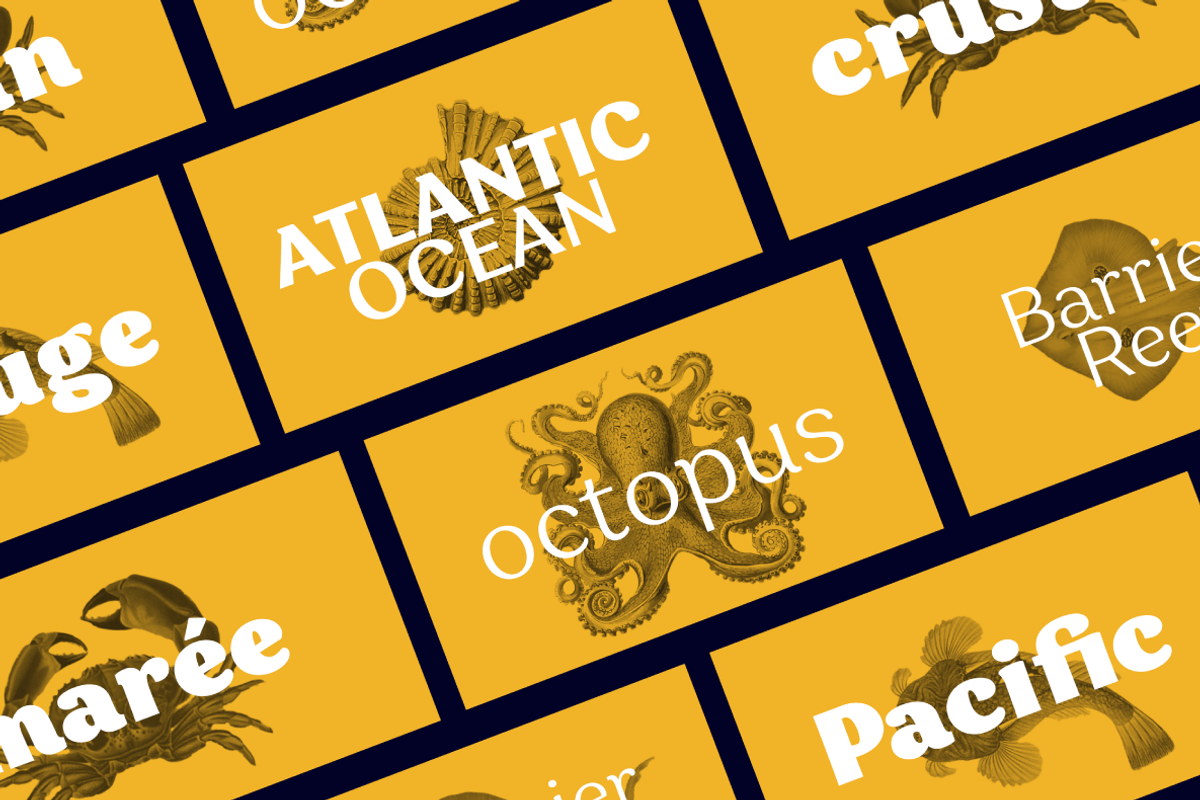 Garbata - 17 fonts, a Sans Serif Font by Zetafonts (Photo 13 of 16)