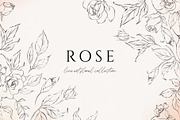 ROSE line art floral collection, a Decorative Illustration by Yuliia Lashevska (Thumbnail 1 of 10)