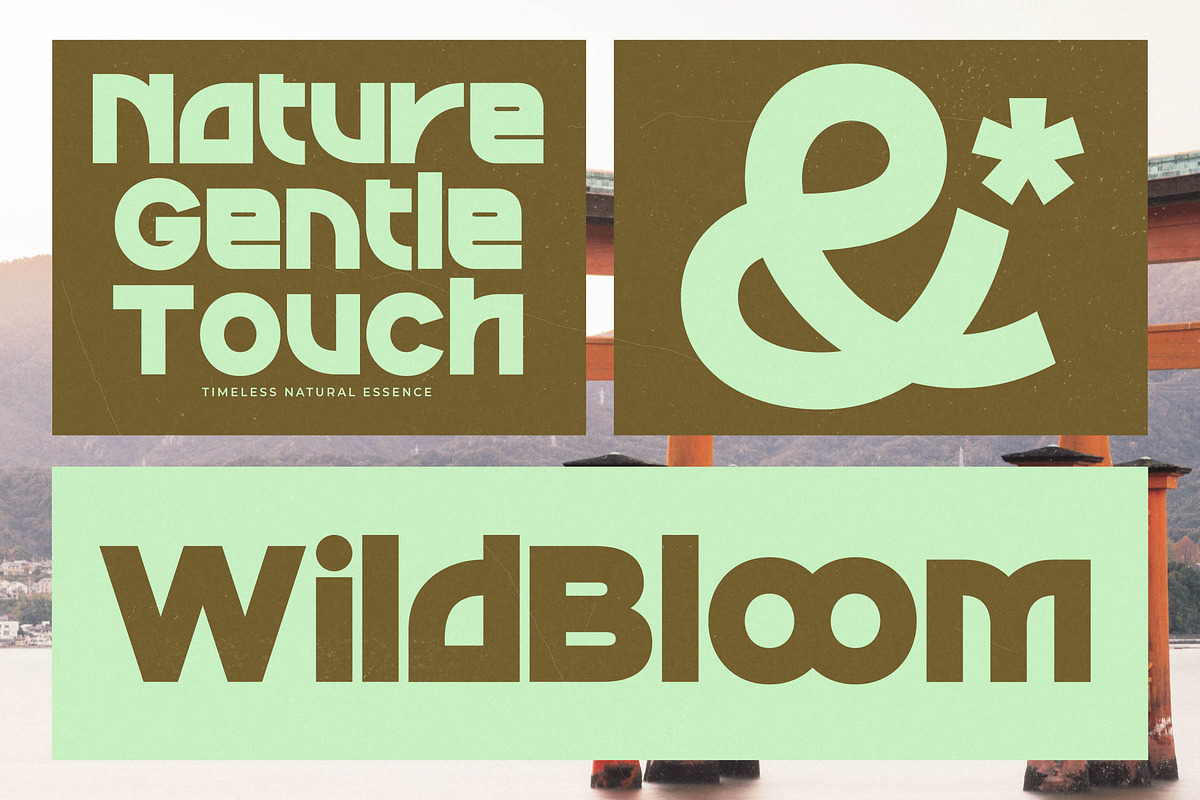 Sound Groove Retro Display Font, a Sans Serif Font by timelesstype.co (Photo 4 of 15)