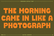 Ironwood Display Font, a Serif Font by Cactus Country (Thumbnail 4 of 5)