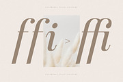 Fonphoria - Modern Serif Font, a Serif Font by Storytype Studio (Thumbnail 6 of 15)