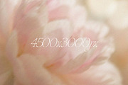 Soft Blurred Floral Backgrounds, a Background Graphic by margotikaj (Thumbnail 3 of 5)