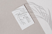 Storyline Regario Font Duo, a Serif Font by Storytype Studio (Thumbnail 5 of 15)