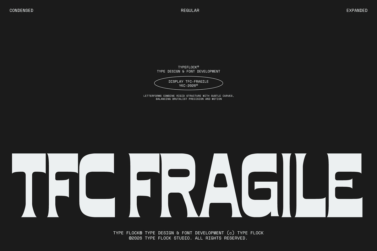 TFC Fragile Font, a Sans Serif Font by Type Flock (Photo 1 of 17)