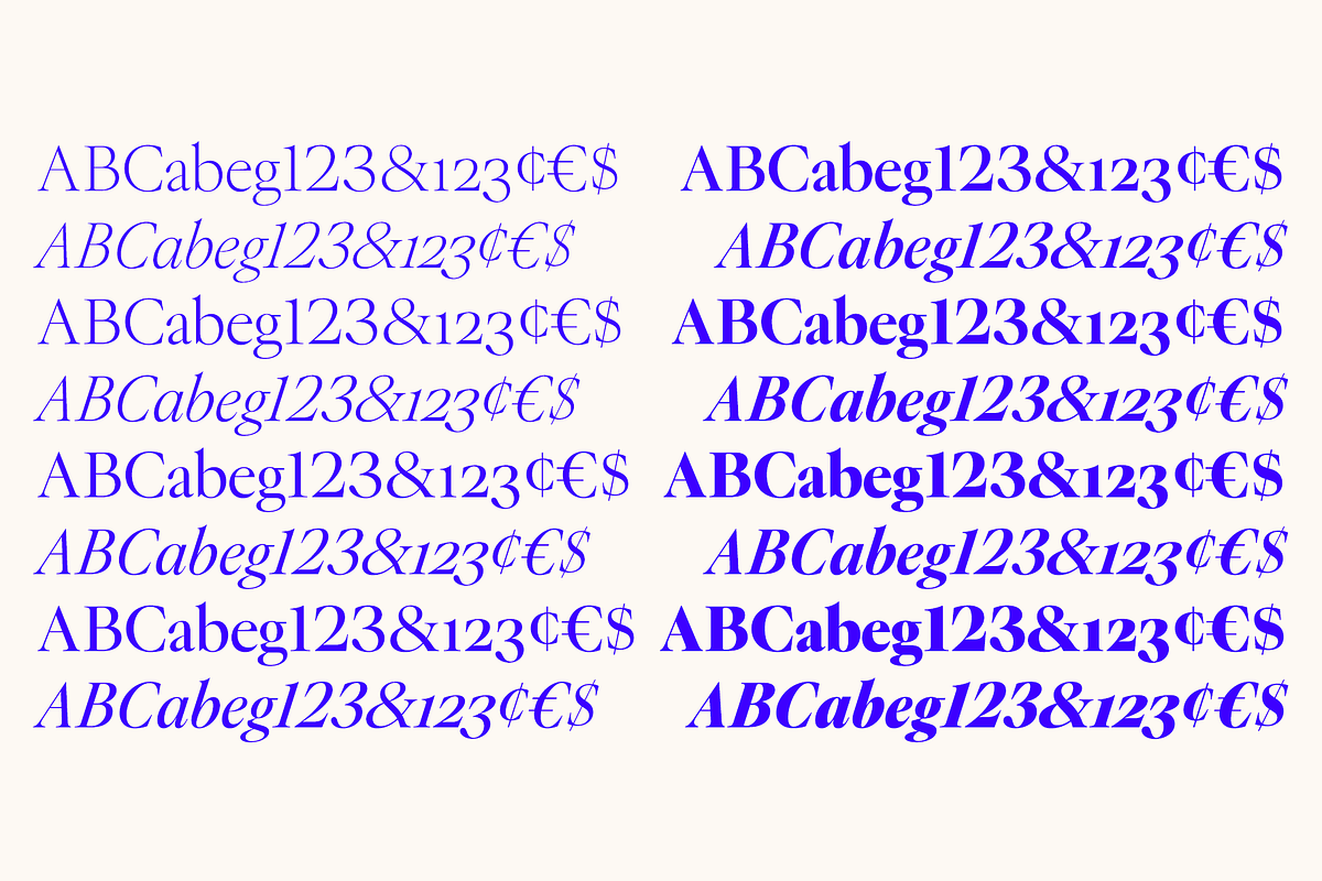 Montaigne Classic Serif, a Serif Font by Fenotype (Photo 6 of 16)