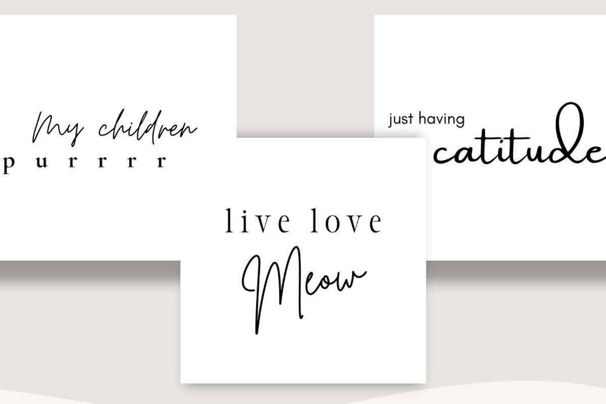 Live Love Meow Quotes (15 Images), a Social Media Template by Ivory Mix (Photo 1 of 2)