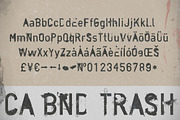 CA BND Trash, a Sans Serif Font by Cape Arcona Type Foundry (Thumbnail 2 of 4)