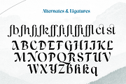 Lah Kagok, a Serif Font by Differentialtype (Thumbnail 8 of 9)