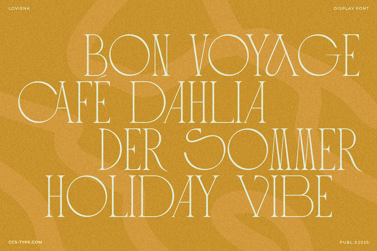 Loviena Rose - Stylish Serif, a Serif Font by CCS Type (Photo 17 of 25)