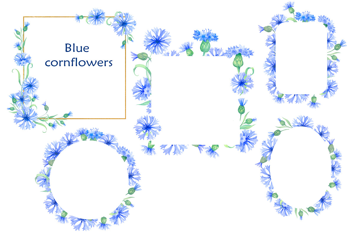 Blue cornflowers bundle, a Decorative Illustration by EshaStudio (Photo 4 of 15)
