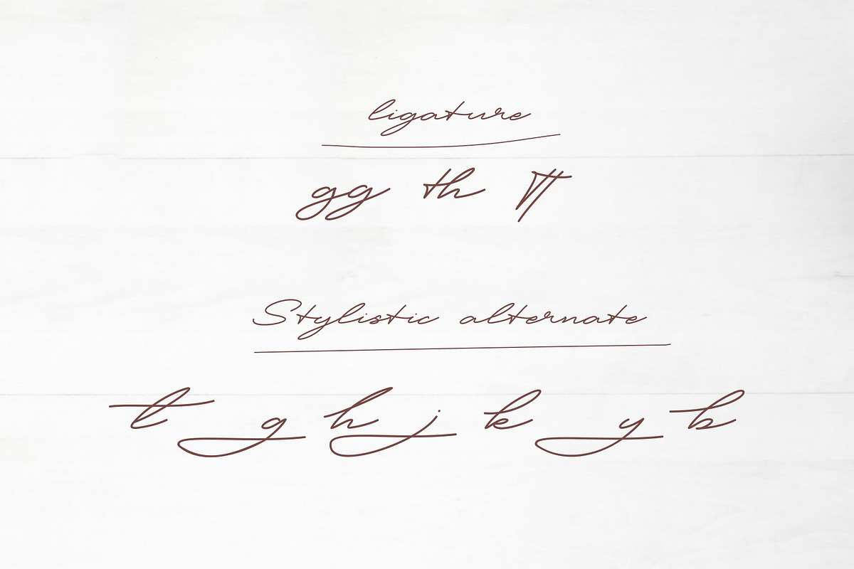 Patton Delicate Signature Typeface, a Script Font by takoliko (Photo 10 of 11)