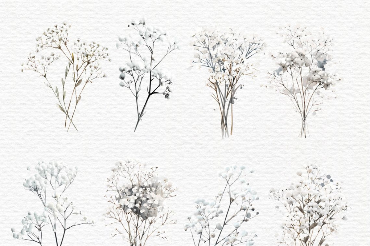 Gypsophila clipart, Baby Breath PNG, a Decorative Illustration by Invite to Clipart (Photo 3 of 7)