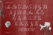 Adore Studio Romantic Font Duo, a Script Font by AnMark (Thumbnail 5 of 14)