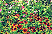 Bright Flowers Texture, a Texture Graphic by RM Photos and Art (Thumbnail 2 of 2)