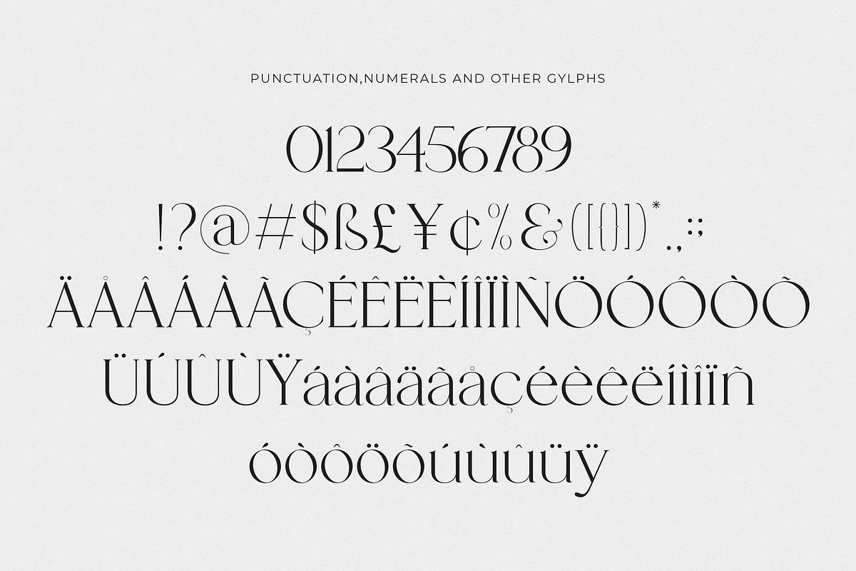 Catalina - Classy Ligature font, a Serif Font by dealitastudio (Photo 11 of 11)
