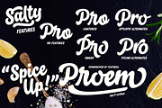 Salty -$30 off!, a Script Font by Fenotype (Thumbnail 3 of 17)