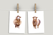 Watercolor Clipart. Sheep clipart, an Animal Illustration by KomtsyanTatyanaArt (Thumbnail 4 of 4)