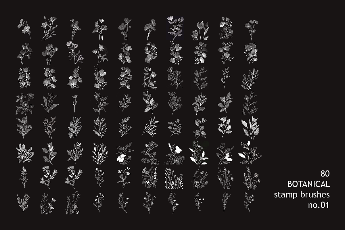 80 Procreate Sketch Botanical Stamp, a Brush Add-On by MISTstudioDesign (Photo 2 of 4)
