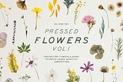 BUNDLE - Dry Flowers & Leaves, an Object Graphic by Sparrow & Snow (Thumbnail 3 of 28)