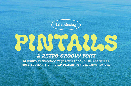 Pintails Display Font