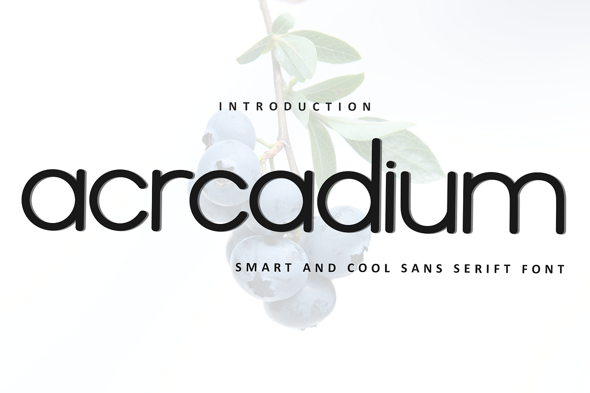Acrcadium, a Sans Serif Font by InermediaSTUDIO (Photo 1 of 8)