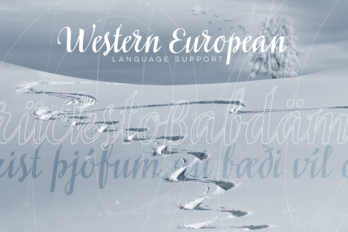 Siberius Clean Script Typeface preview 2