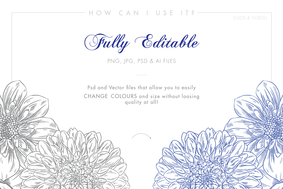 Line Floral Illustrations & Patterns, an Illustration by Riveros Illustration (Photo 4 of 11)