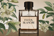 Arceloni Elegance Serif Font, a Serif Font by Vadovastd (Thumbnail 10 of 11)