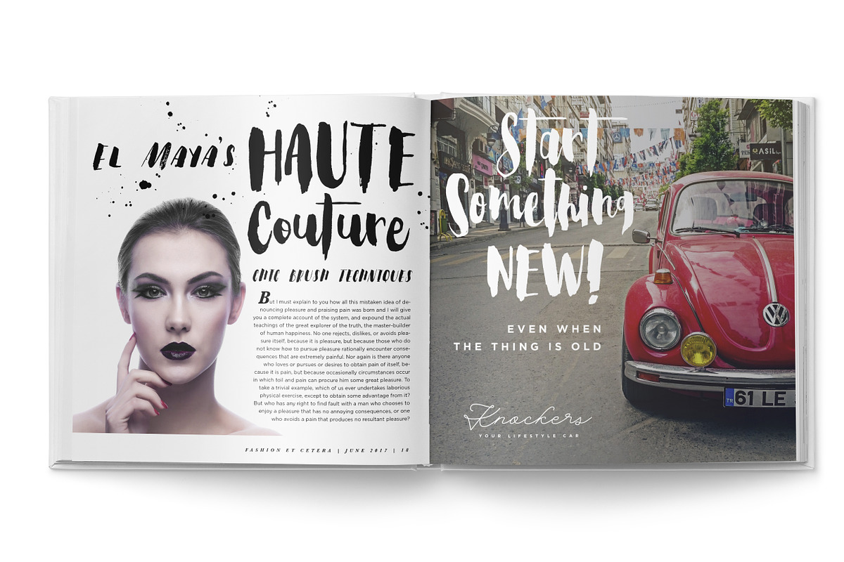 Steady Bonanza Multistyle Fonts preview 3