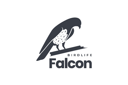 wildlife bird perched falcon logo, a Branding & Logo Template by devastd