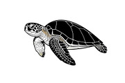 50 Sea Turtle Vector Silhouette Bund, an Illustration by jahid234 (Thumbnail 38 of 51)