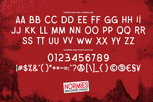 NORMIES - Sans Display Typeface