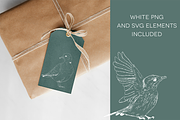 Birds of Africa Illustrations, a Decorative Illustration by CL Creative Studio (Thumbnail 10 of 14)
