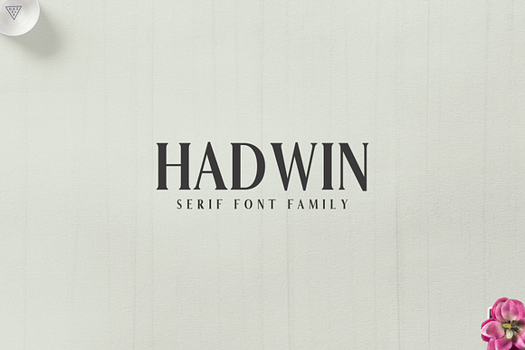 Hadwin Serif Font Family Pack preview 7