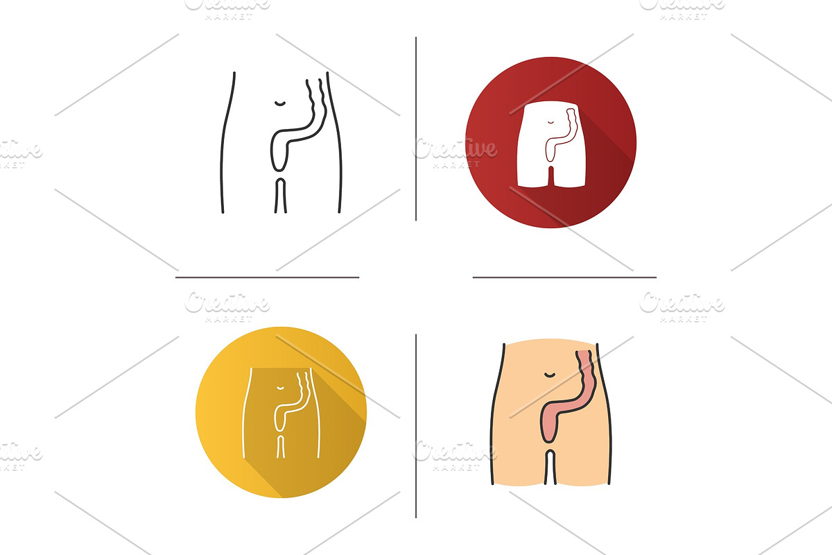Rectum and anus icon, an Outline Icon by IMG Visuals