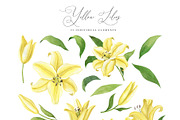 Yellow Lilies Watercolor Set, a Texture Illustration by Natalia Fedorova (Thumbnail 2 of 10)