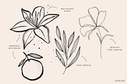 Fine Liners Procreate Brushes + Ink, a Brush Add-On by Darla Studio (Thumbnail 2 of 10)