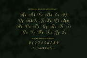 Arvina Wedding Script Font, a Script Font by Elegant Font (Thumbnail 8 of 8)
