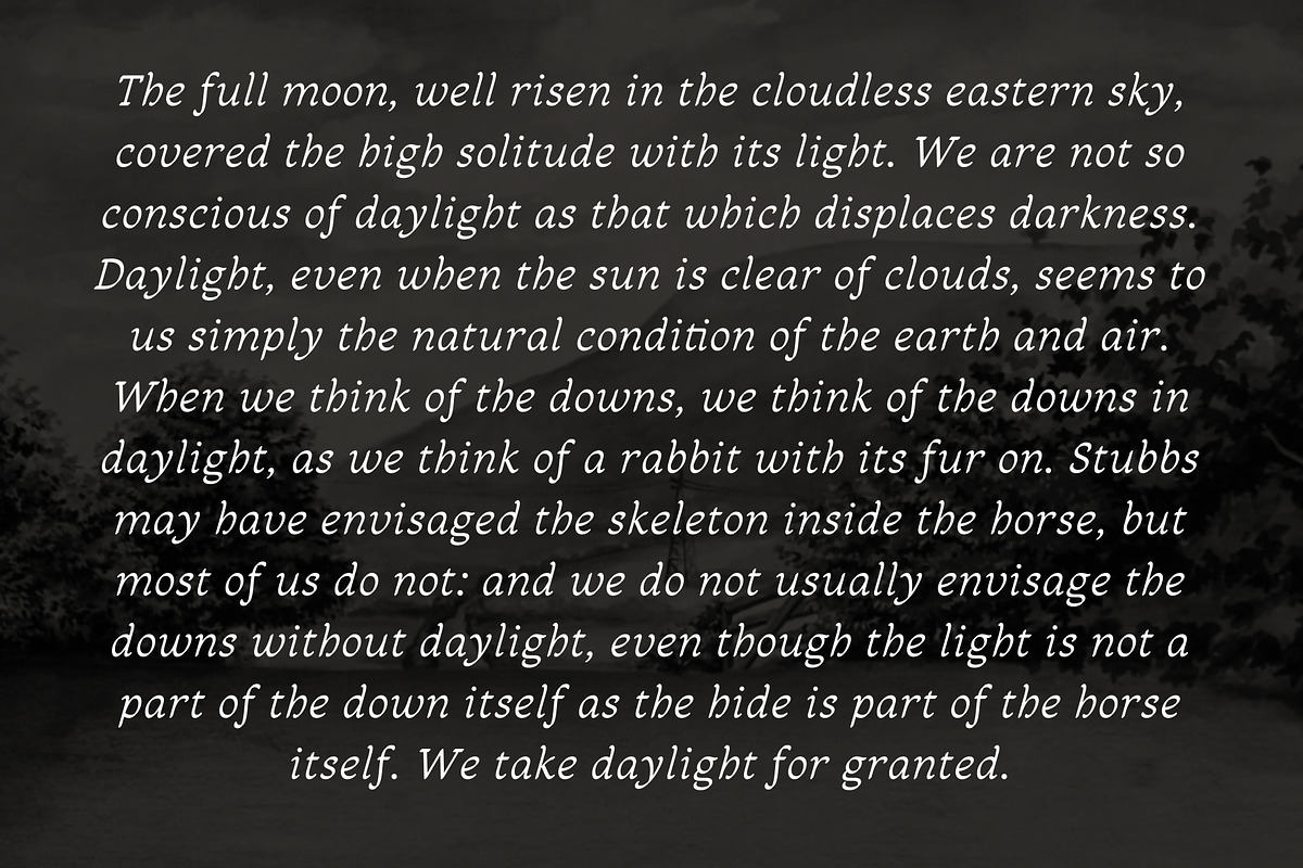 Sandleford Italic, a Serif Font by Simon Walker (Photo 7 of 9)