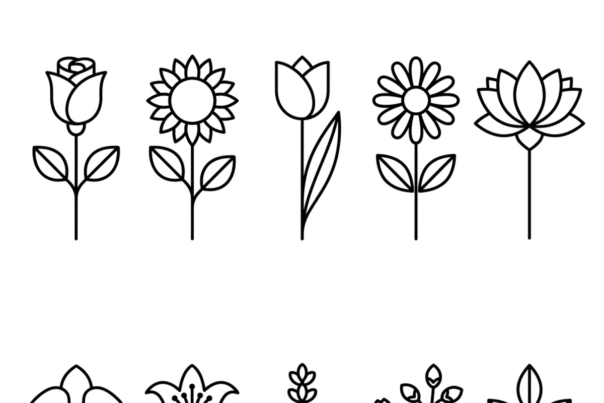 Bundles Set Organic Cosmetic Icons, an Outline Icon by adenpinkstore (Photo 5 of 11)